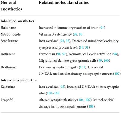 Research progress on molecular mechanisms of general anesthetic-induced neurotoxicity and cognitive impairment in the developing brain